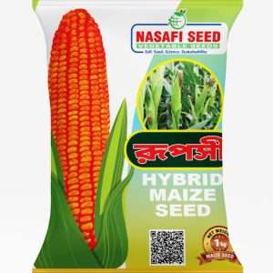Hybrid Maize Seed 1KG