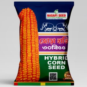 Jhora Hathi 30B55 Hybrid Corn Seed 2KG